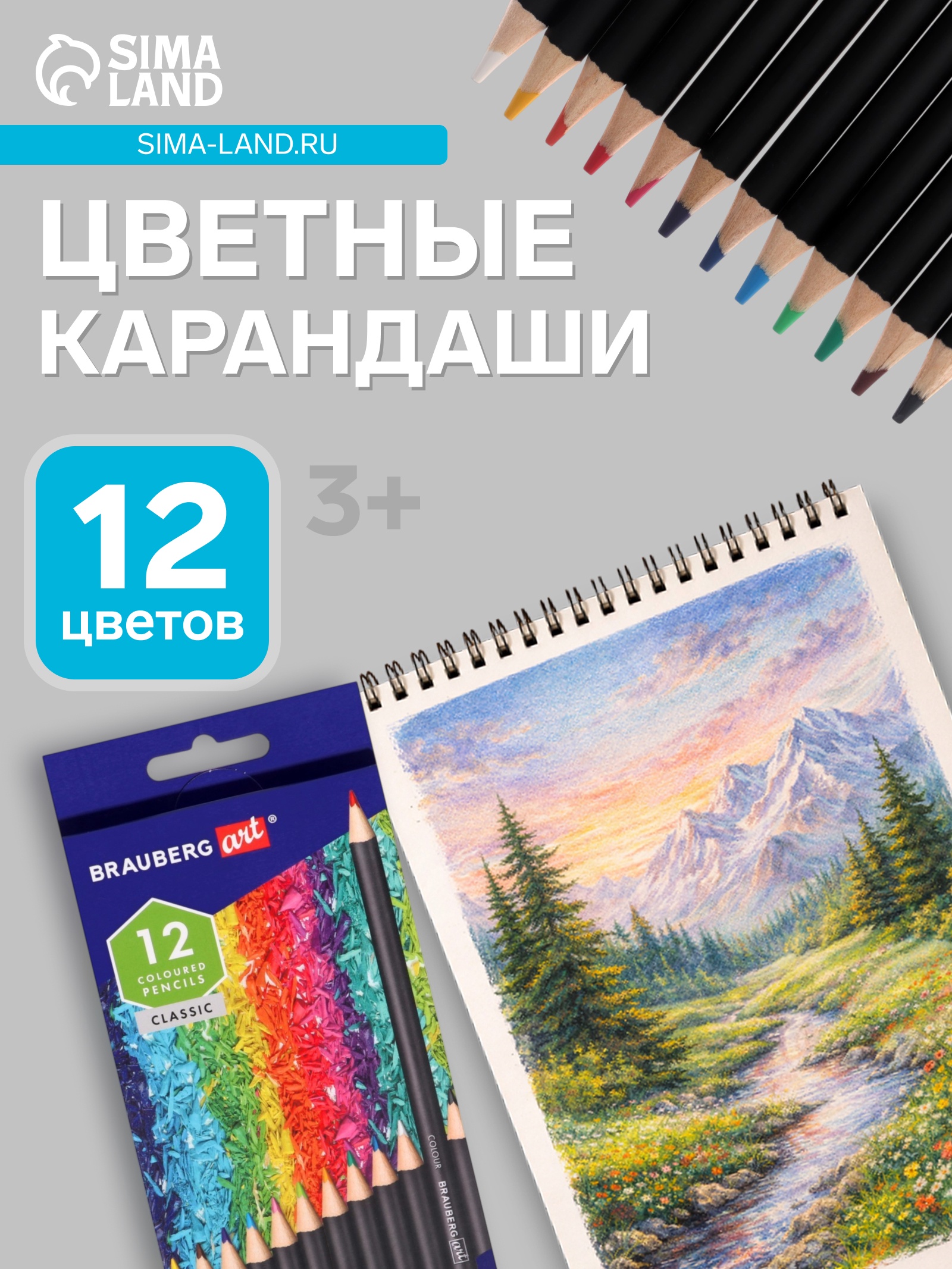 Карандаши 12цв, Brauberg, дерево, заточ, кругл, Black, коробка, европодвес 9530292