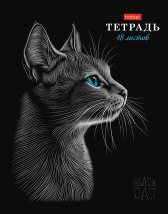 Тетрадь 48л А5ф клетка 60-65г/кв.м на скобе Обл. мел.картон мат.ламин. 3D лак 5 диз.в блоке скругл.углы  серия -Чёрный кот-