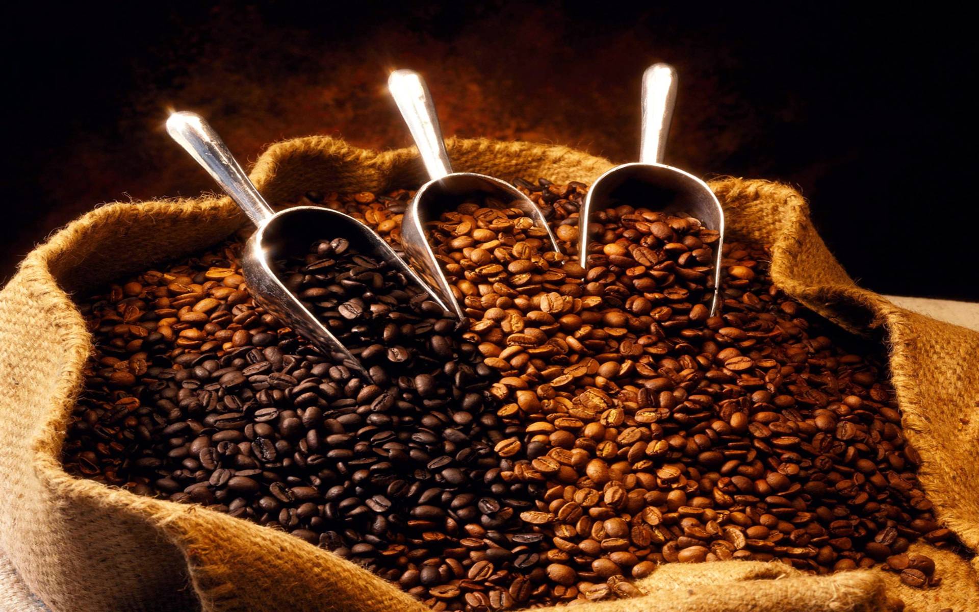 wholesale coffee beans