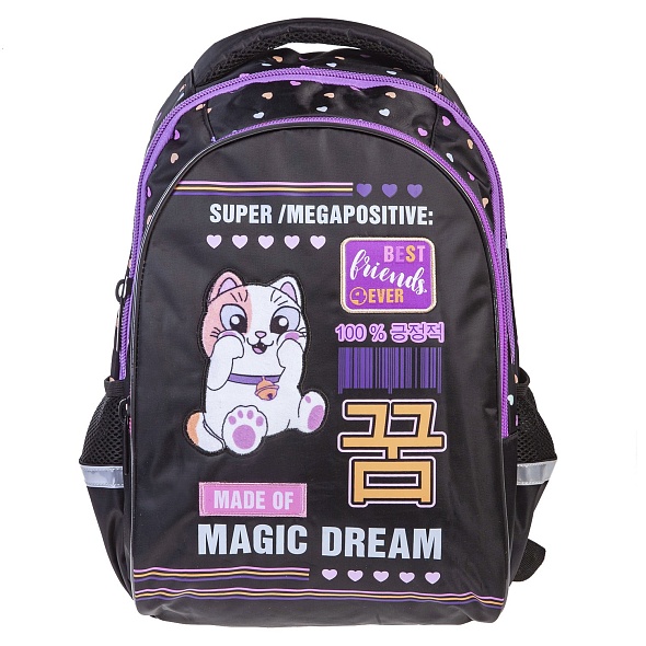 Рюкзак Hatber STREET "Кот мечтатель", 2 отделения, 3 кармана, 073590