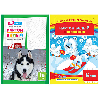 Картон белый A4, 16л, ArtSpace, немелованный, в папке, 220683, Россия