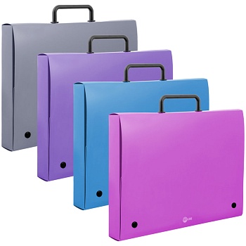 Папка-портфель 1 отделение Berlingo "Skyline", 700мкм, ассорти, 260454