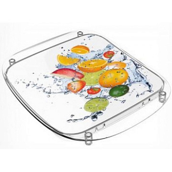 Монетница пластиковая прямоуг 205*170мм 410469