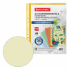 Папка-вкладыш с перфорацией BRAUBERG А4 35мкм глянцевая ЦВЕТНАЯ 100шт, 272679